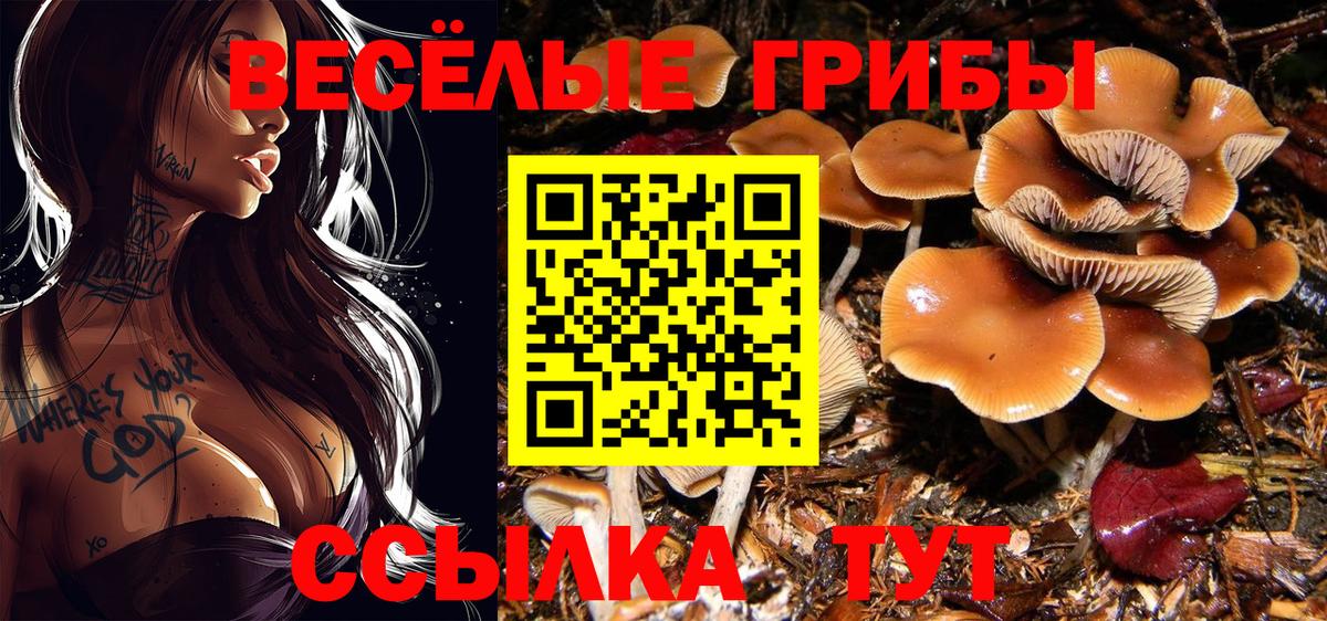 Галлюциногенные грибы прущие грибы  купить закладку  Ростов-на-Дону  Вход с VPN 