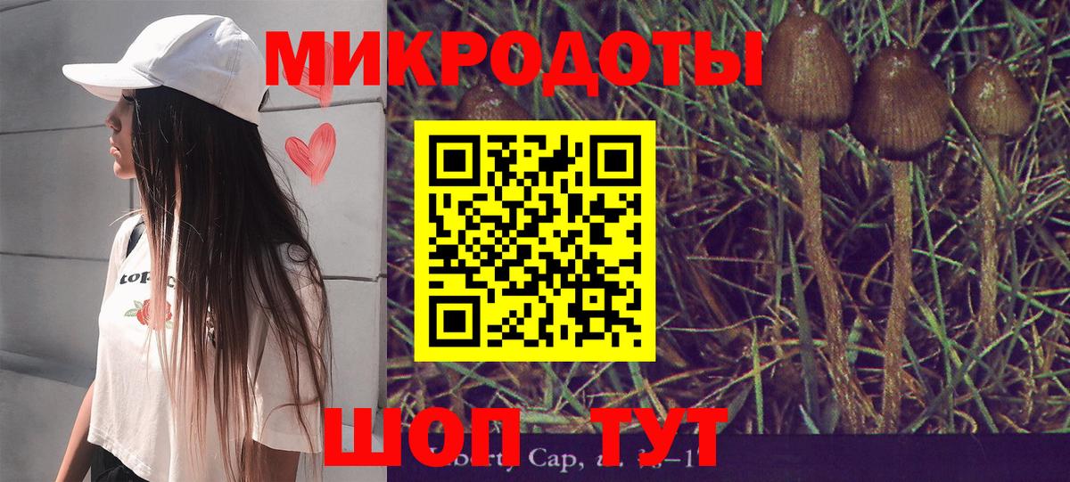 Псилоцибиновые грибы Magic Shrooms Ростов-на-Дону